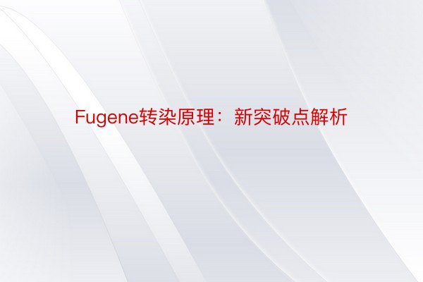 Fugene转染原理：新突破点解析